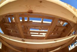 Сергей Елесин, ИА "Тюменская линия"