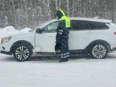 Госавтоинспекция по Тюменской области