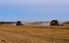 глава Аромашевского округа Игорь Власов