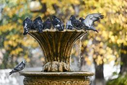 Сергей Елесин, ИА "Тюменская линия"