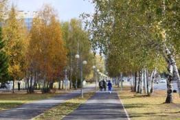 из Telegram-канала Петра Вагина