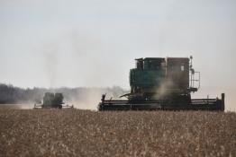 из Telegram-канала администрации Бердюжского округа