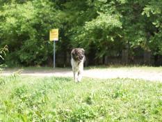 ИА "Тюменская линия"