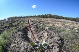 Сергей Елесин, ИА "Тюменская линия"
