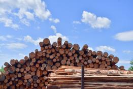 Сергей Елесин, ИА "Тюменская линия"
