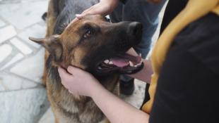 Инна Пахомова, ИА "Тюменская линия"