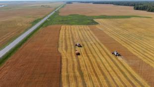 Виктор Сергеев, ИА "Тюменская линия"
