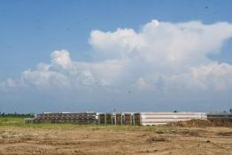 Сергей Елесин, ИА "Тюменская линия"