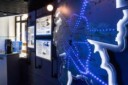 Сергей Елесин, ИА "Тюменская линия"