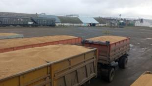 управление Россельхознадзора по Тюменской области, ЯНАО и ХМАО - Югре