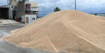 Сергей Елесин, ИА "Тюмеснкая линия"