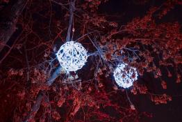 Сергей Мжельский, ИА "Тюменская линия"
