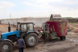 Тюменская линия