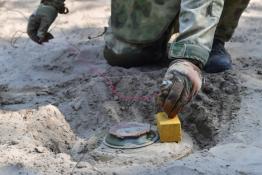 Сергей Елесин, ИА "Тюменская линия"
