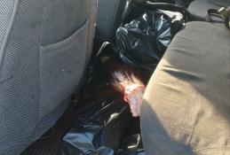 Госохотдепартамент Тюменской области