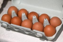 Сергей Елесин, ИА "Тюменская линия"