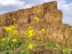 ИА "Тюменская линия"