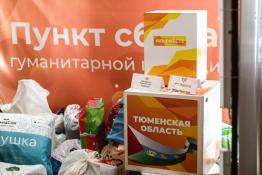 Сергей Елесин, ИА "Тюменская линия"