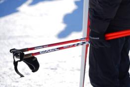 Сергей Мжельский, ИА "Тюменская линия"