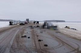 Госавтоинспекция Тюменской области