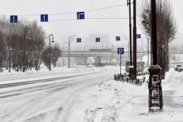 Сергей Елесин, ИА "Тюменская линия"