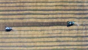 Виктор Сергеев, ИА "Тюменская линия"
