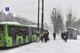 Сергей Елесин, ИА Тюменская линия