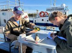 тюменский филиал ВНИРО