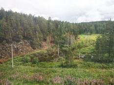 ИА "Тюменская линия"
