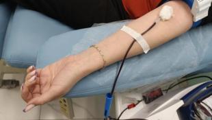 Инна Пахомова, ИА "Тюменская линия"