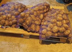 ИА "Тюменская линия"