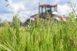 Сергей Елесин, ИА "Тюменская линия"
