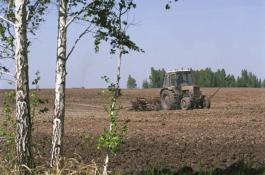 Тюменская линия