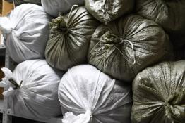 Сергей Елесин, ИА "Тюменская линия"