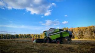 из Telegram-канала Ольги Зиминой