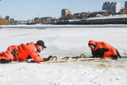 Сергей Елесин, ИА "Тюменская линия"
