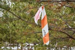 Сергей Елесин, ИА "Тюменская линия"