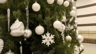 Инна Пахомова, ИА "Тюменская линия"