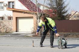 Сергей Мжельский, ИА "Тюменская линия"