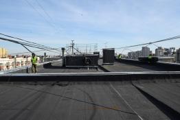 Сергей Елесин, ИА "Тюменская линия"