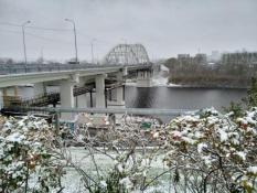 Сергей Елесин, ИА "Тюменская линия"