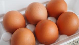 Инна Пахомова, ИА "Тюменская линия"