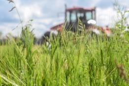 Сергей Елесин, ИА "Тюменская линия"