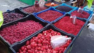 департамент АПК Тюменской области