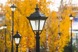 Сергей Елесин, ИА "Тюменская линия"
