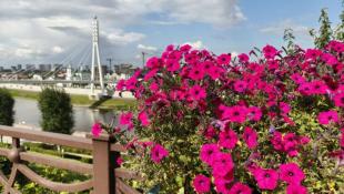 Инна Пахомова, ИА "Тюменская линия"