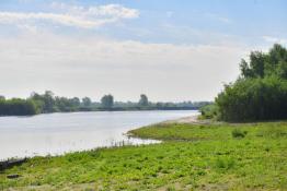 Сергей Елесин, ИА "Тюменская линия"
