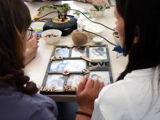 Штаб общественной поддержки ЕР