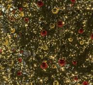 Елена Волисова