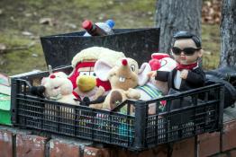 Сергей Елесин, ИА "Тюменская линия"
